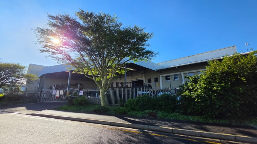 To Let Commercial Property for Rent in Airport Industria Western Cape
